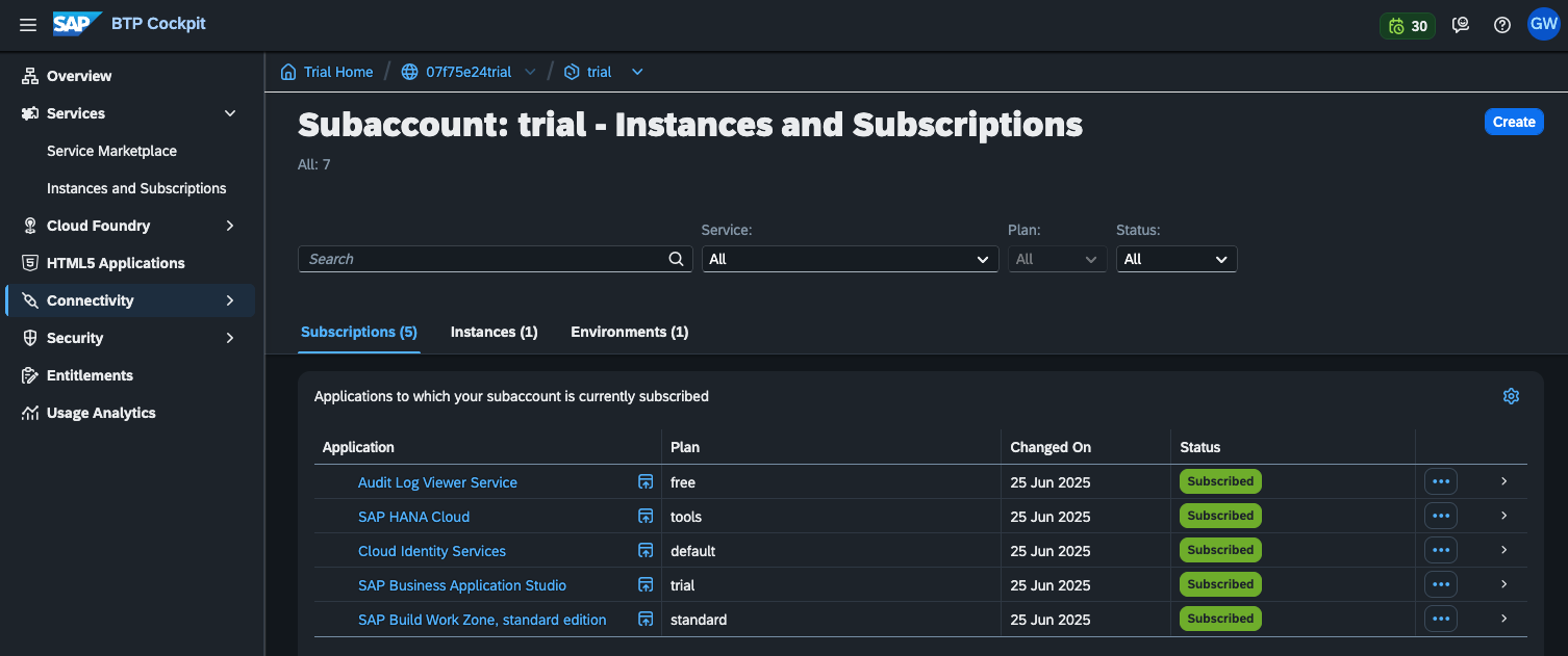 SAP Cloud Identity Services Subaccount Instance