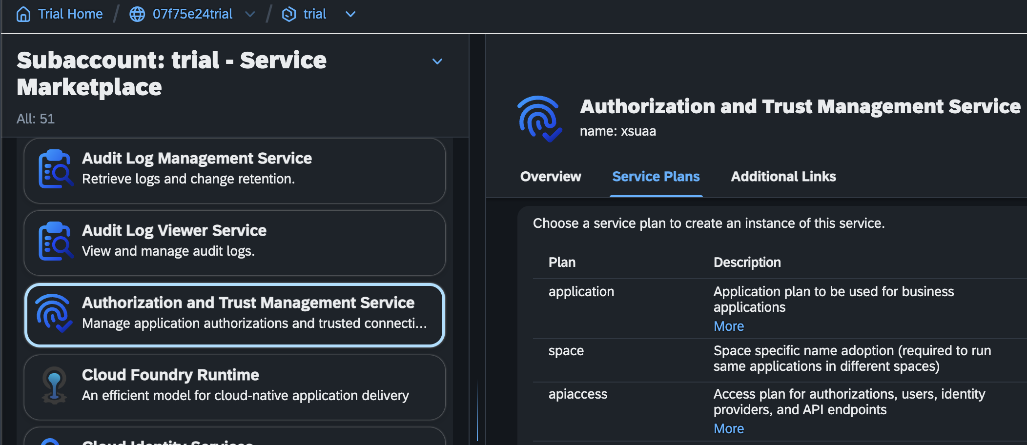 SAP BTP XS Advanced UAA Service Plan apiacces