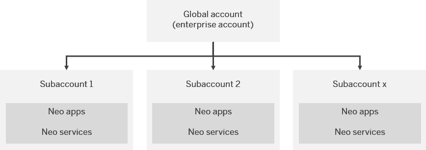 Account Structure - Neo